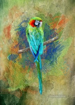 pflaume vögel Ölbilder verkaufen - Papagei Sand Vögel